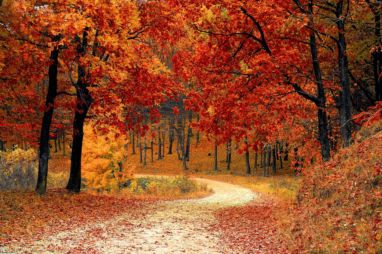 Zmiany pór roku: refleksje nad jesiennym krajobrazem